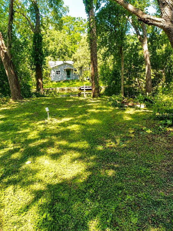 A grassy yard leads toward a small house situated behind a row of mature trees — 7416 SEAGULL WAY, TAMPA, FL