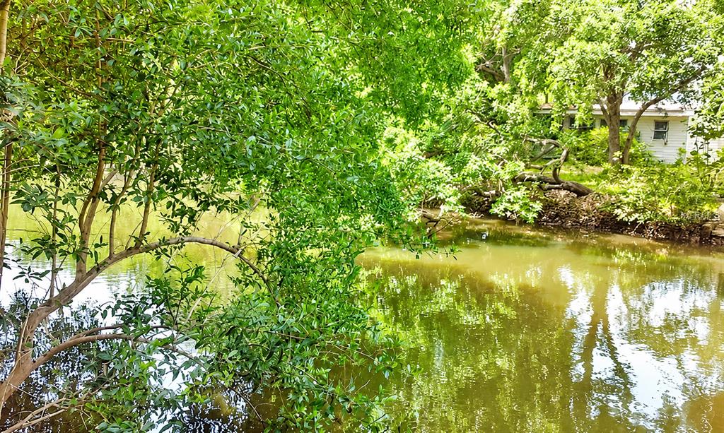 A view of a pond surrounded by lush green trees with a house in the background — 7416 SEAGULL WAY, TAMPA, FL