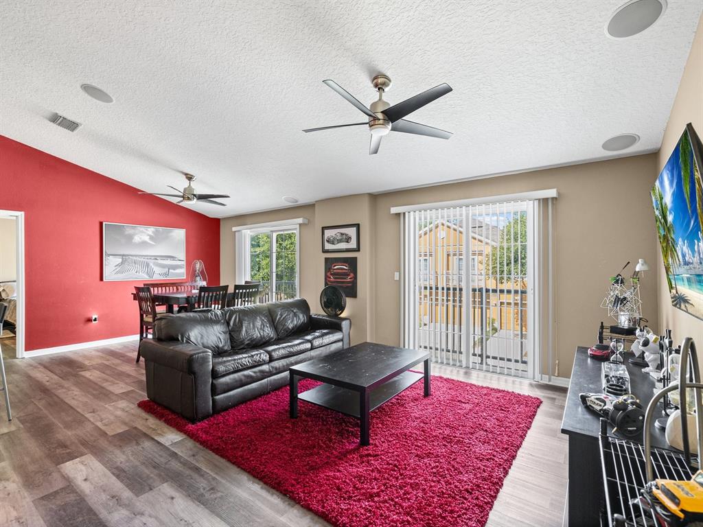 A living room features a black leather sofa, red rug, and a red accent wall — 6774 BREEZY PALM DRIVE, RIVERVIEW, FL