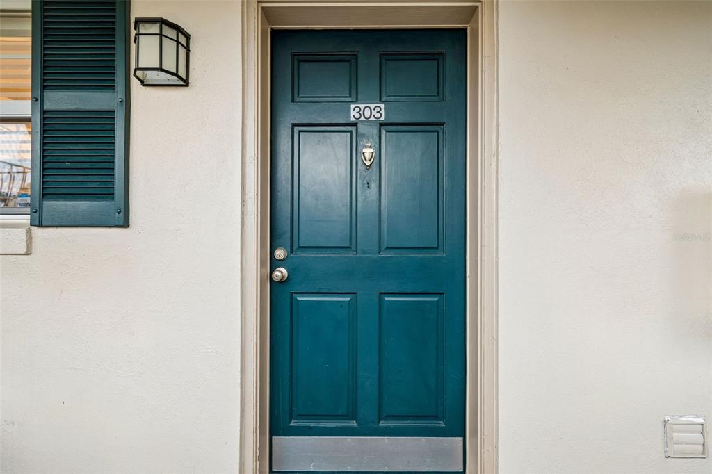 A teal front door with a silver number 303 is set in a beige exterior wall — 10387 CARROLLWOOD LANE UNIT 303, TAMPA, FL