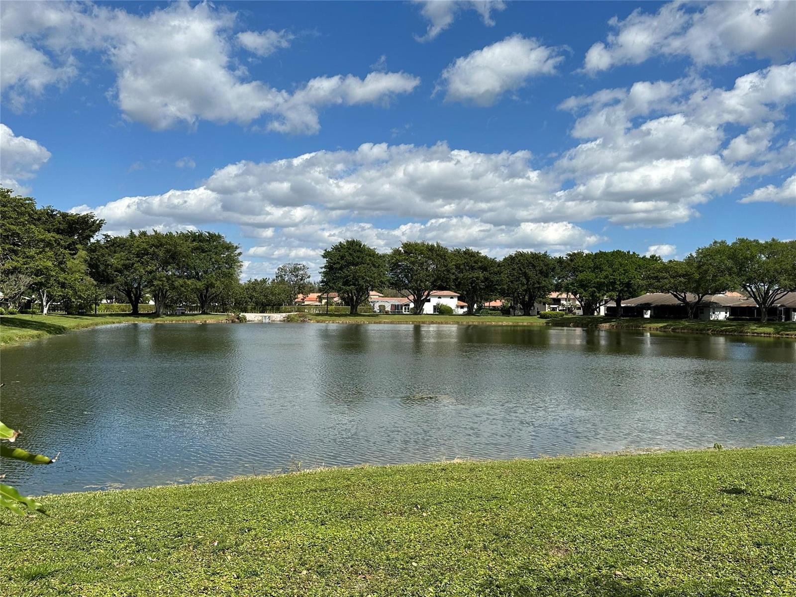 A calm pond sits in front of a grassy lawn with trees and houses beyond — 8885 Windtree Street # D, Boca Raton FL 33496, BOCA RATON, FL