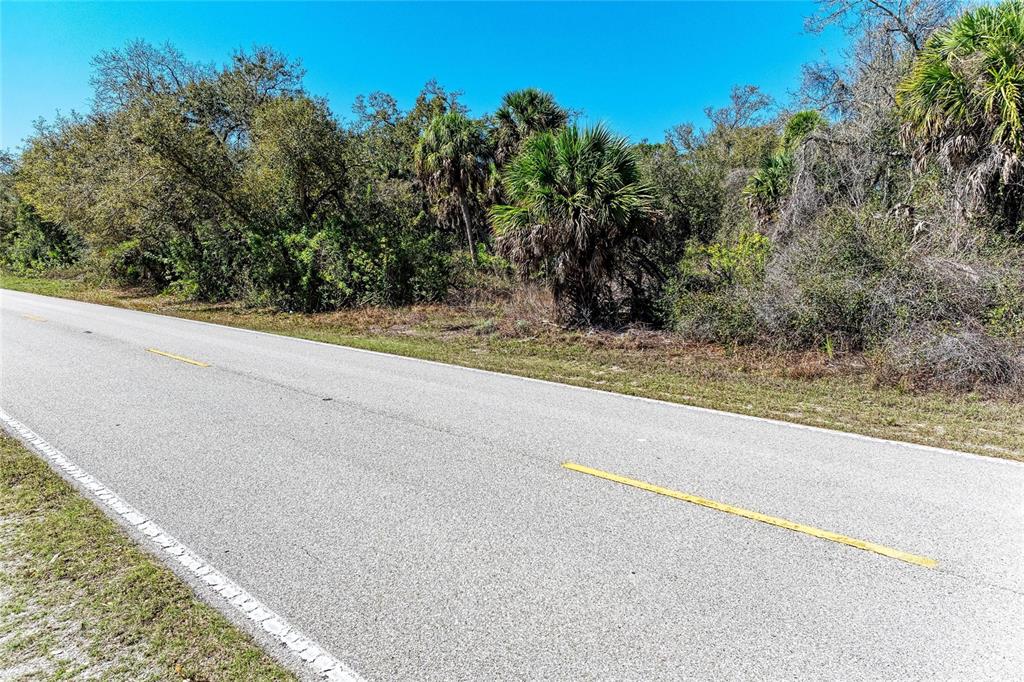 A paved road runs alongside a wooded area with palm trees and dense vegetation — 3123 COMO STREET, PORT CHARLOTTE, FL