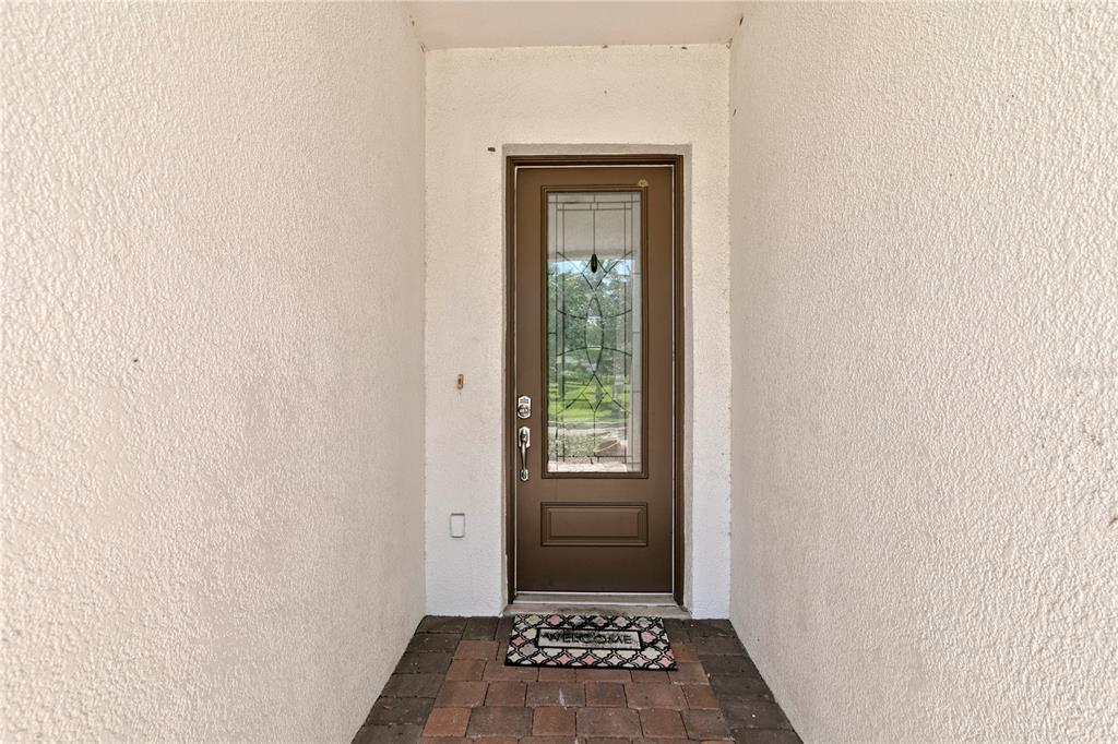 A brown front door with a glass insert is set within a stucco entryway — 11504 BELLAMAR STREET, TAMPA, FL