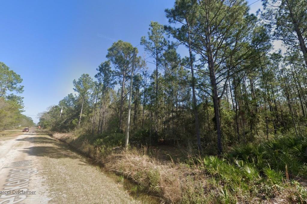 A dirt road runs alongside a wooded lot with tall pine trees and palmetto bushes — 10620 BECKENGER AVENUE, HASTINGS, FL