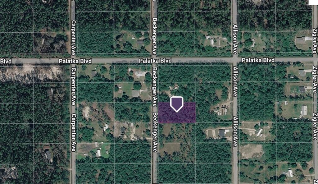 An aerial map view shows a rectangular lot highlighted in purple near a road intersection — 10620 BECKENGER AVENUE, HASTINGS, FL