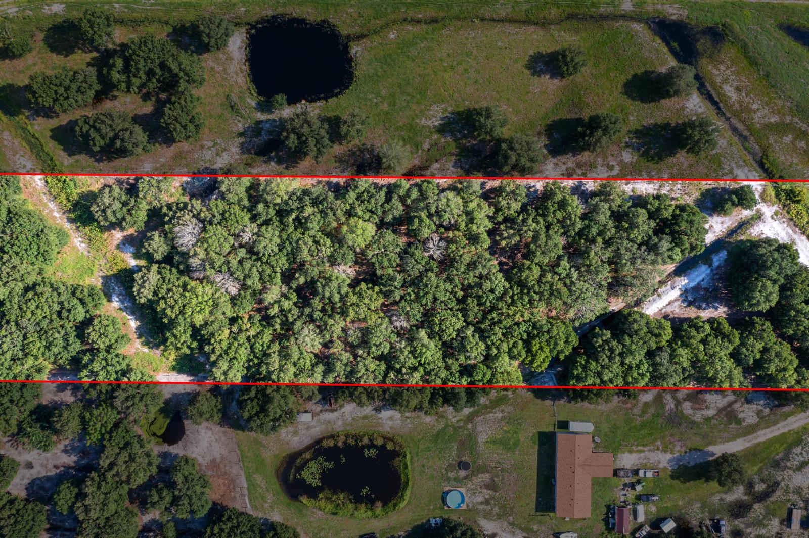 Aerial view of a wooded lot bordered by open fields and a residential property — 38203 8th Street E, FL 34251, FL