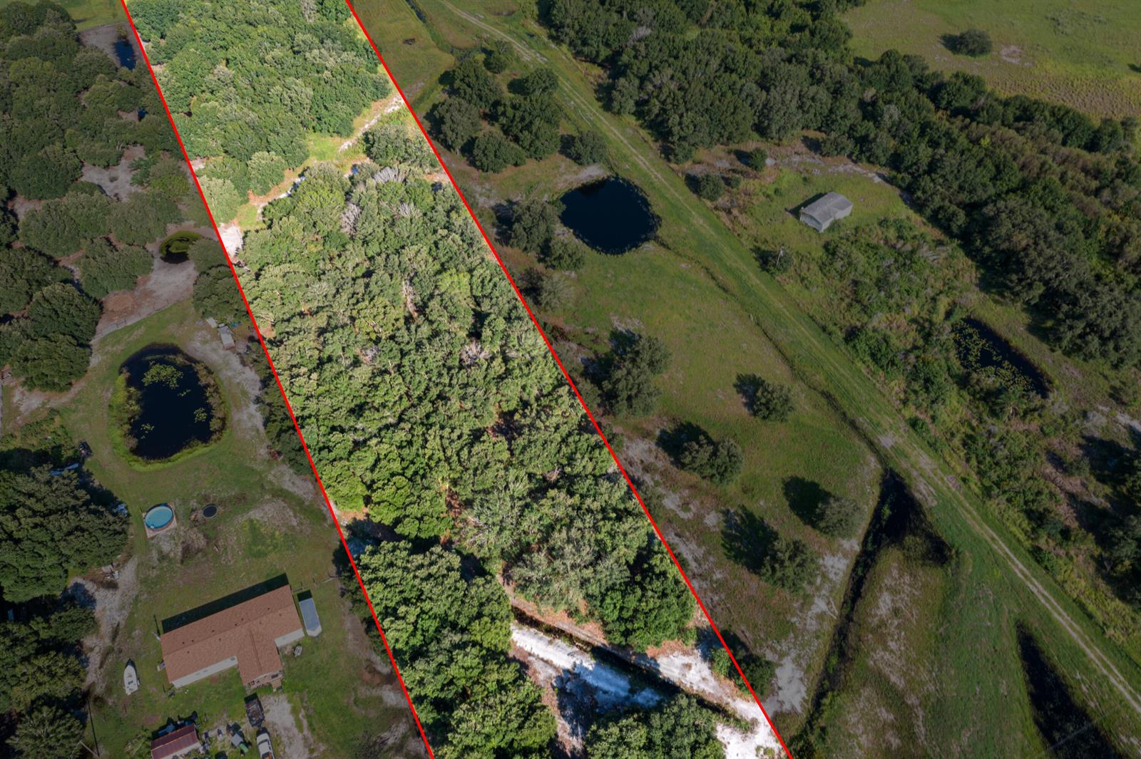An aerial view shows a wooded lot outlined in red next to a grassy field — 38203 8th Street E, FL 34251, FL