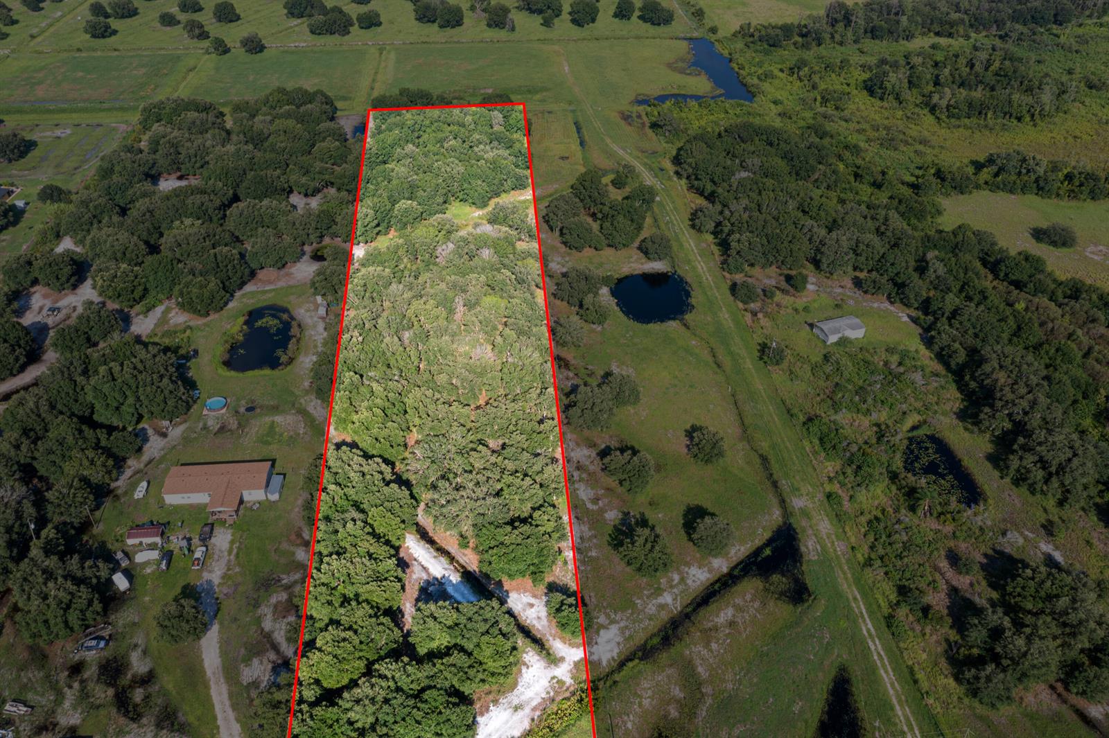 An aerial view shows a rectangular wooded lot outlined in red amidst rural pasture land — 38203 8th Street E, FL 34251, FL