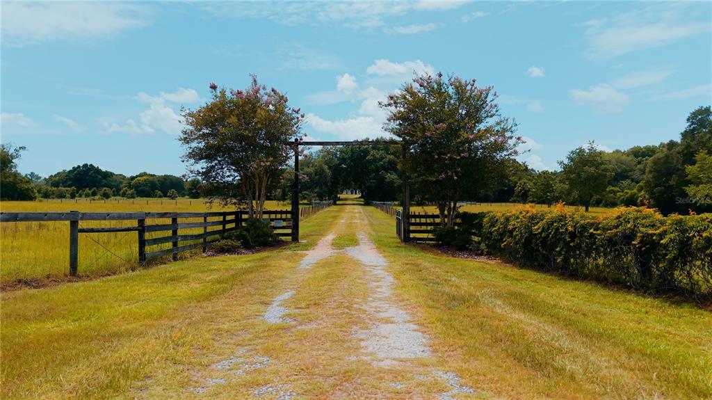 A gravel driveway leads through a wooden gate between two trees into a grassy field — 21341 HORSE RANCH ROAD, MOUNT DORA, FL