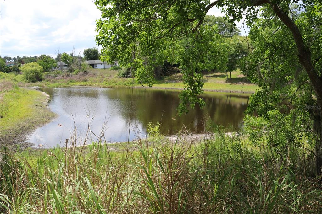 A view of a small pond surrounded by grassy banks and trees — 2392 BRIMHALL COURT, DELTONA, FL