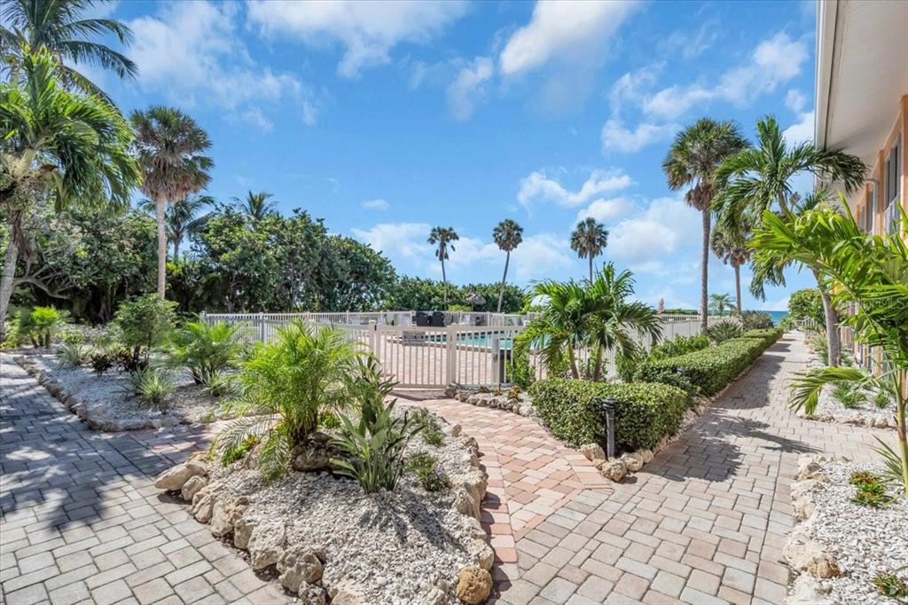 A paved walkway leads toward a fenced swimming pool area surrounded by palm trees — 5841 GULF OF MEXICO DRIVE UNIT 244, LONGBOAT KEY, FL