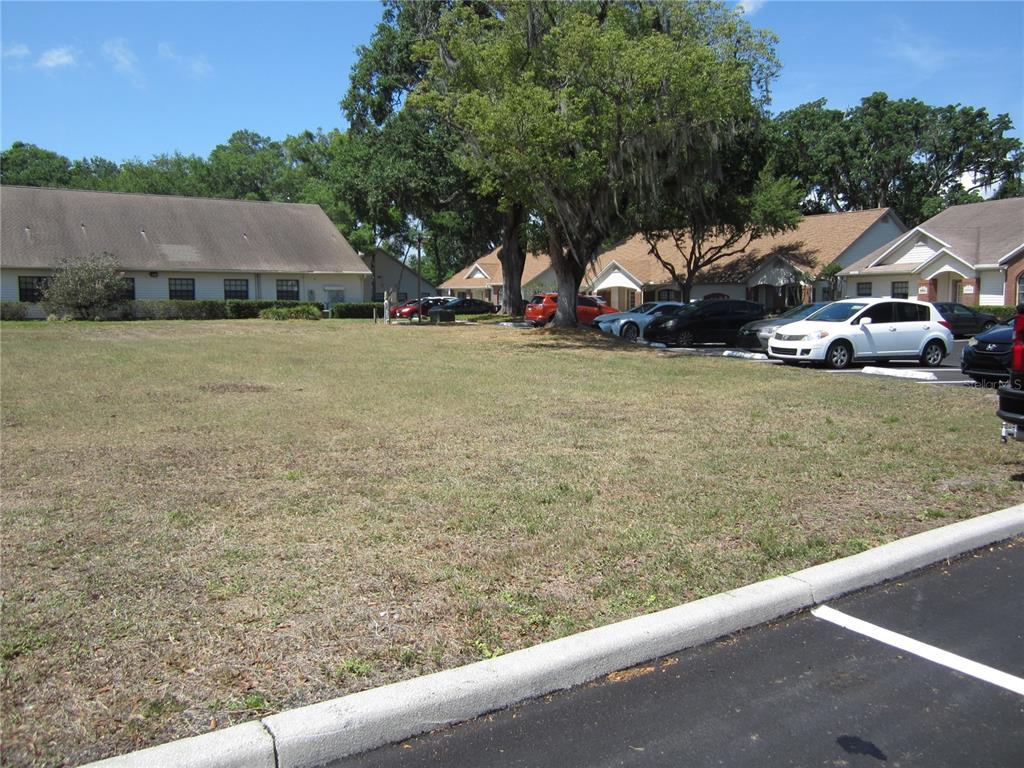 209 CRYSTAL GROVE BOULEVARD, LUTZ, FL — photo 4 of 9