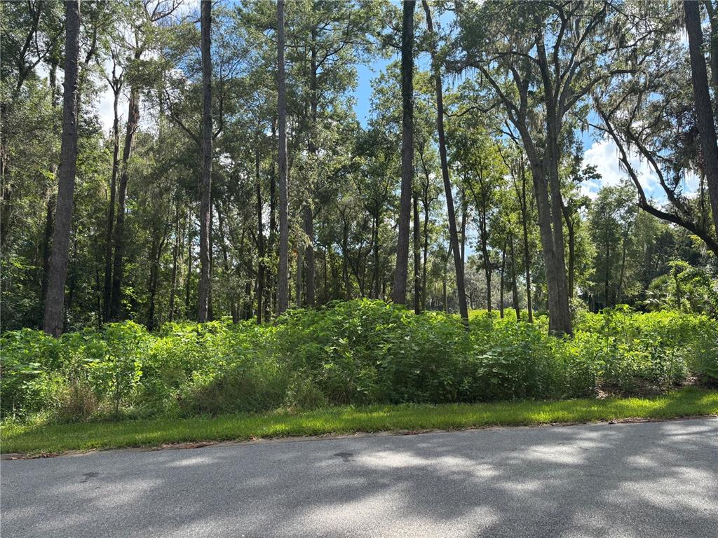 1555 SE 73RD PLACE, OCALA, FL — photo 4 of 9