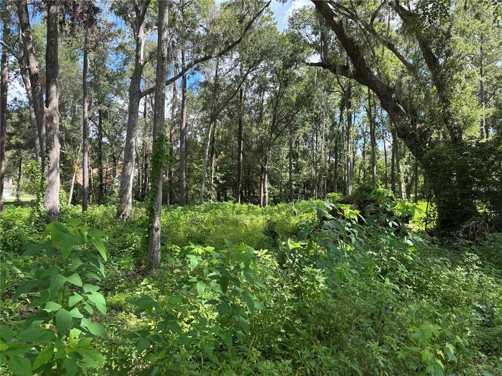 1555 SE 73RD PLACE, OCALA, FL — photo 5 of 9