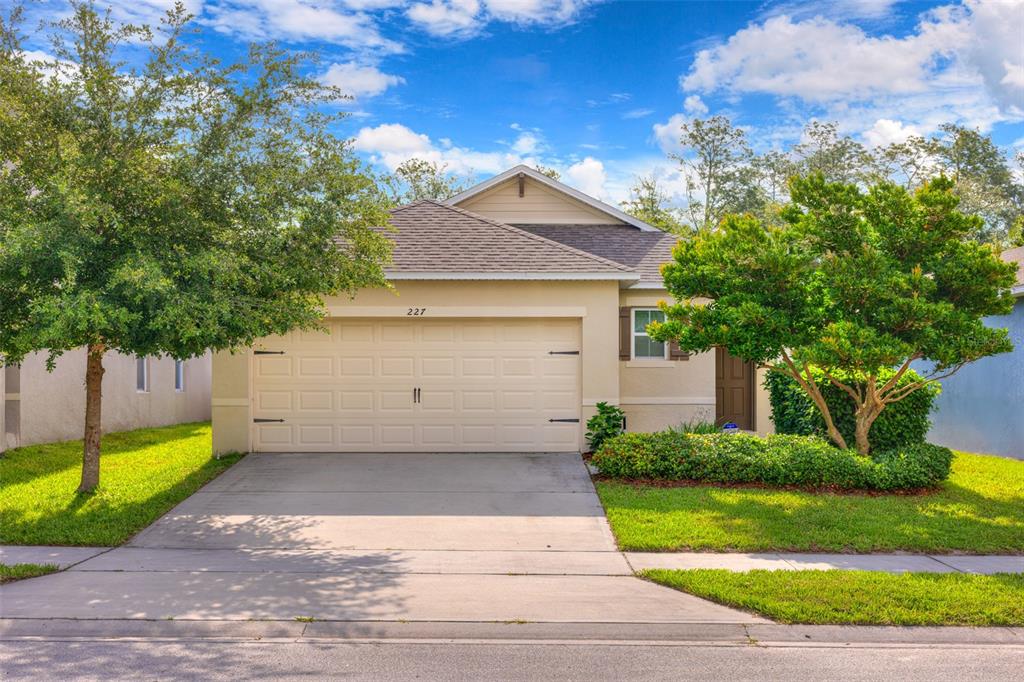 227 DUKE DRIVE