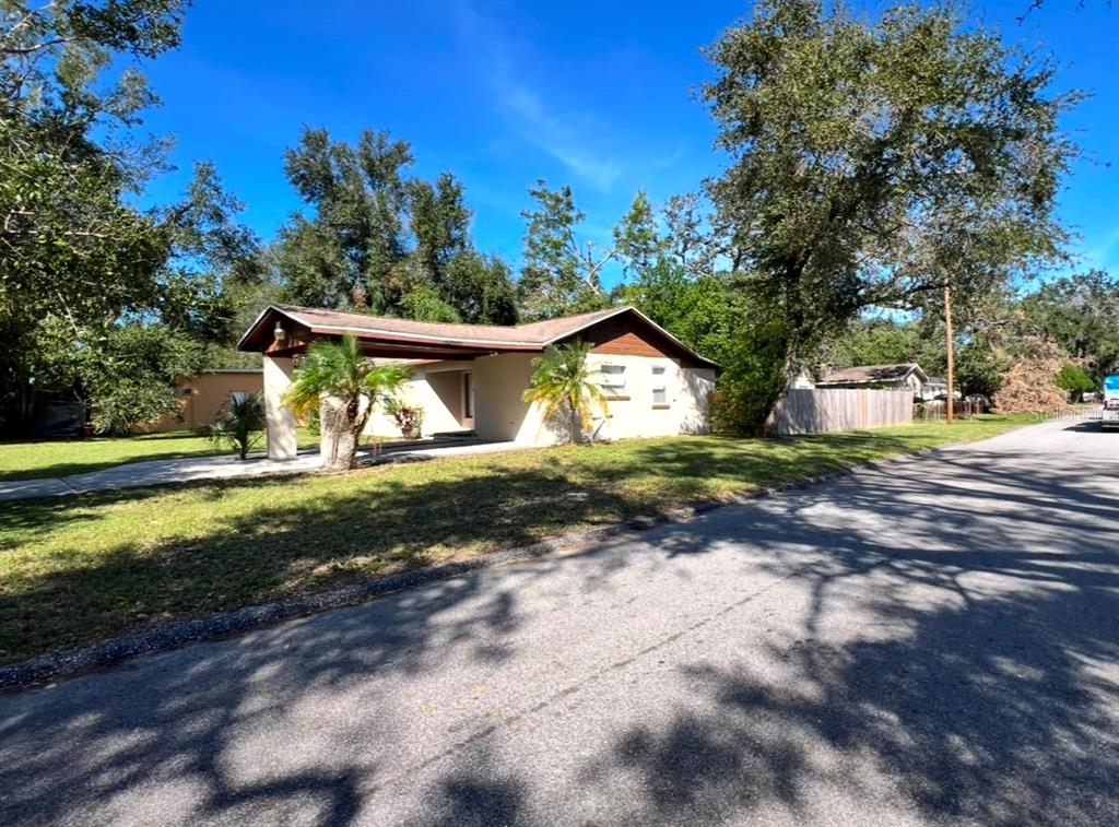 A single-story house with a carport and palm trees sits along a paved street — 3910 E ELLICOTT STREET, TAMPA, FL