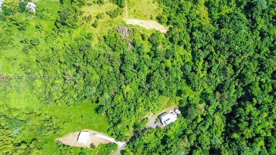 An aerial view shows two houses surrounded by dense forest and a dirt path — Bo. Campo Rico Carr 9957 Solar F KM3.2, PR 00729, PR