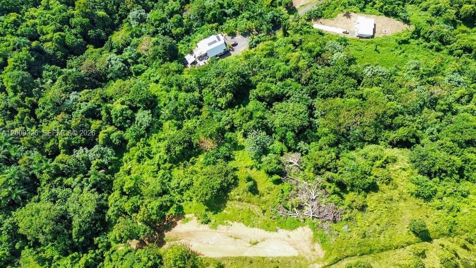 An aerial view shows a house nestled in a dense, green, hilly forest landscape — Bo. Campo Rico Carr 9957 Solar F KM3.2, PR 00729, PR