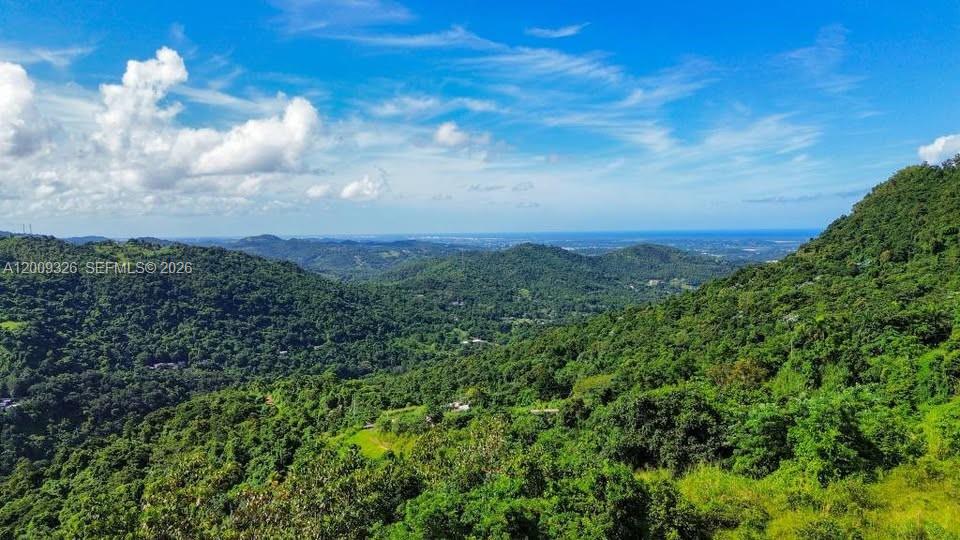A high-angle view of a lush, green mountain landscape under a bright blue sky — Bo. Campo Rico Carr 9957 Solar F KM3.2, PR 00729, PR
