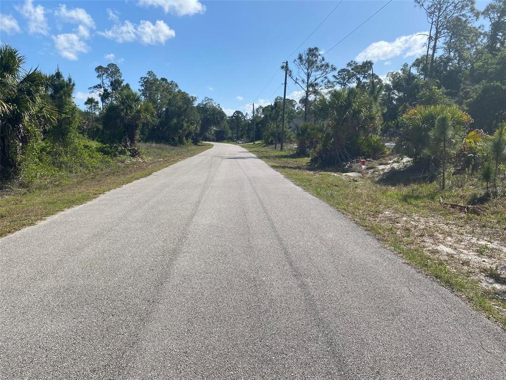 A paved road stretches through a wooded area under a bright blue sky — SCENIC ROAD, NORTH PORT, FL