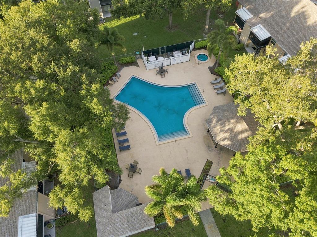 An aerial view of a community swimming pool with a hot tub and lounge chairs — 3807 N OAK DRIVE UNIT D41, TAMPA, FL