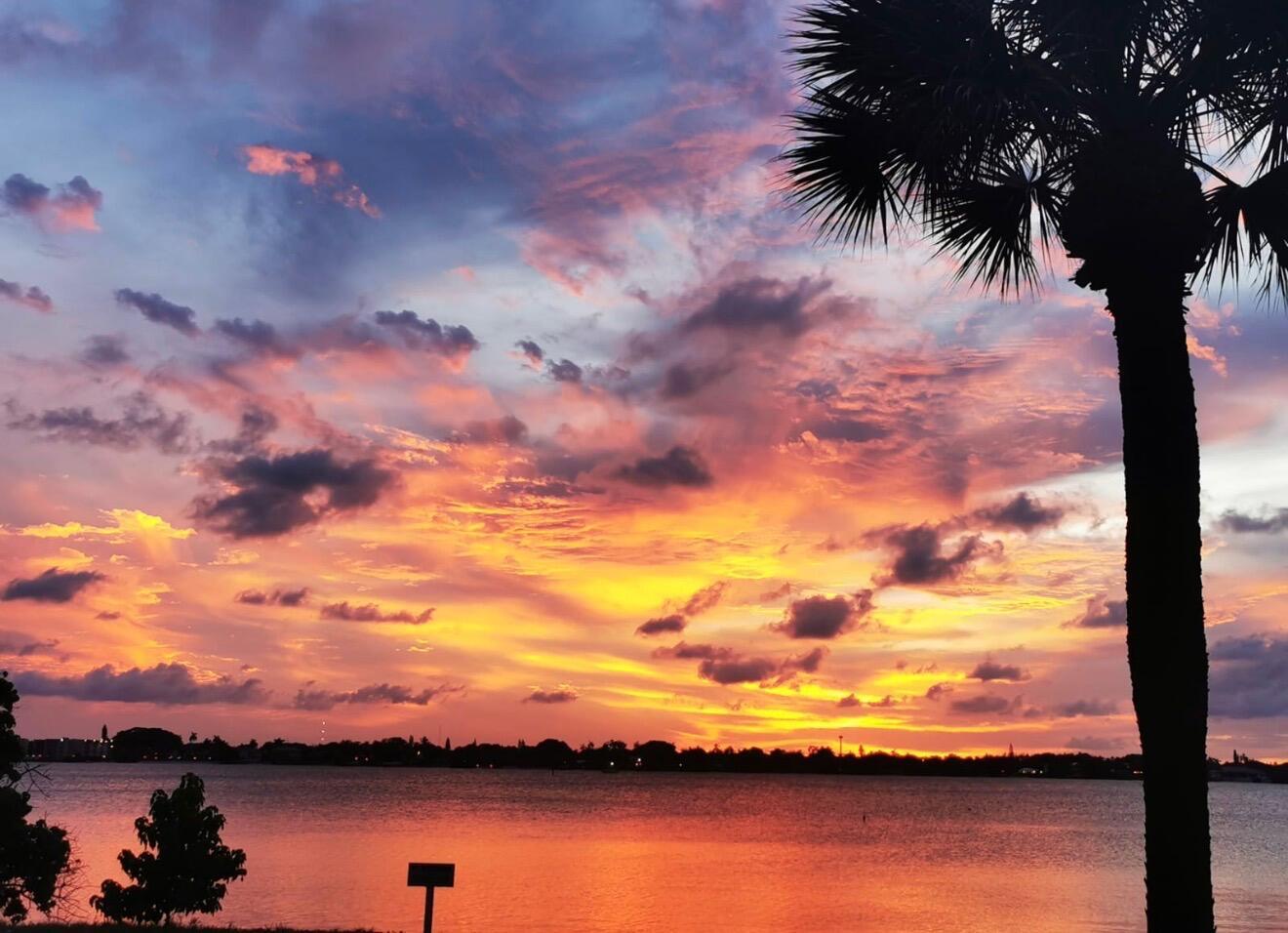 A palm tree silhouettes against a vibrant sunset over a calm body of water — 3460 S Ocean Boulevard # 2090, Palm Beach FL 33480, PALM BEACH, FL