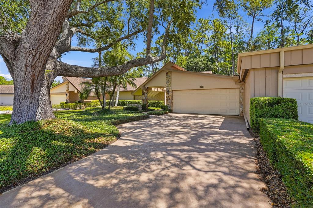 A tan house with a two-car garage and a large tree in the front yard — 3071 BOLT DRIVE, PALM HARBOR, FL