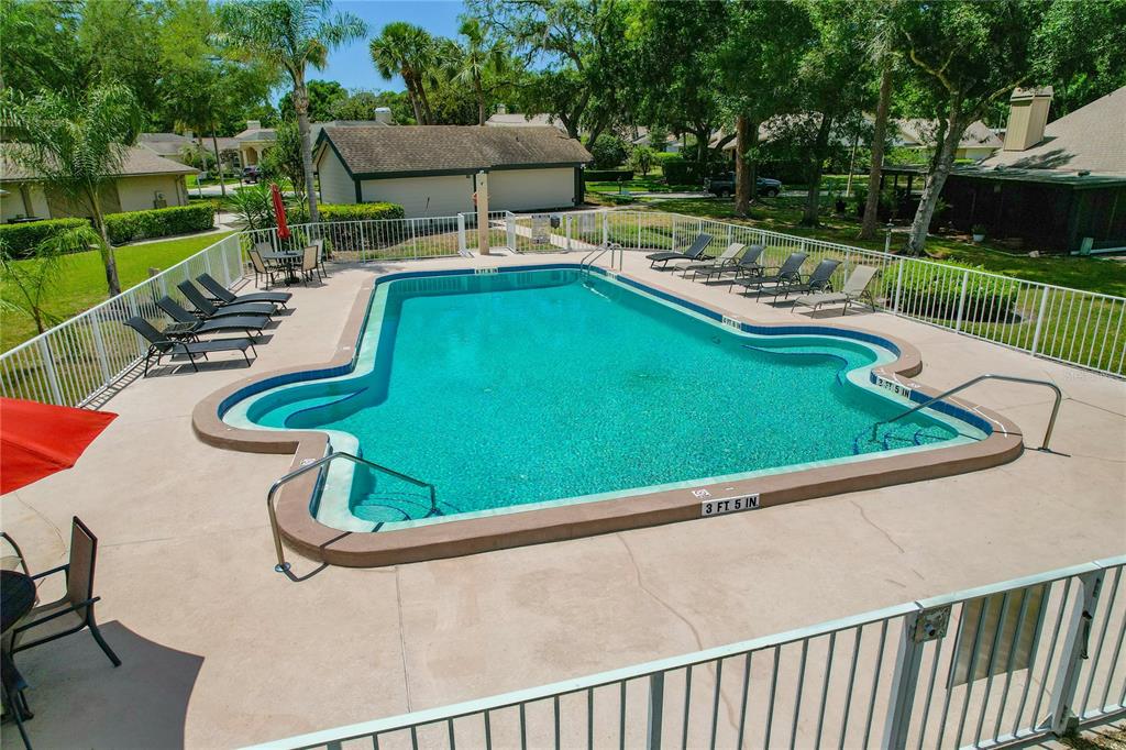 An outdoor swimming pool with a surrounding patio and lounge chairs inside a fenced area — 3071 BOLT DRIVE, PALM HARBOR, FL