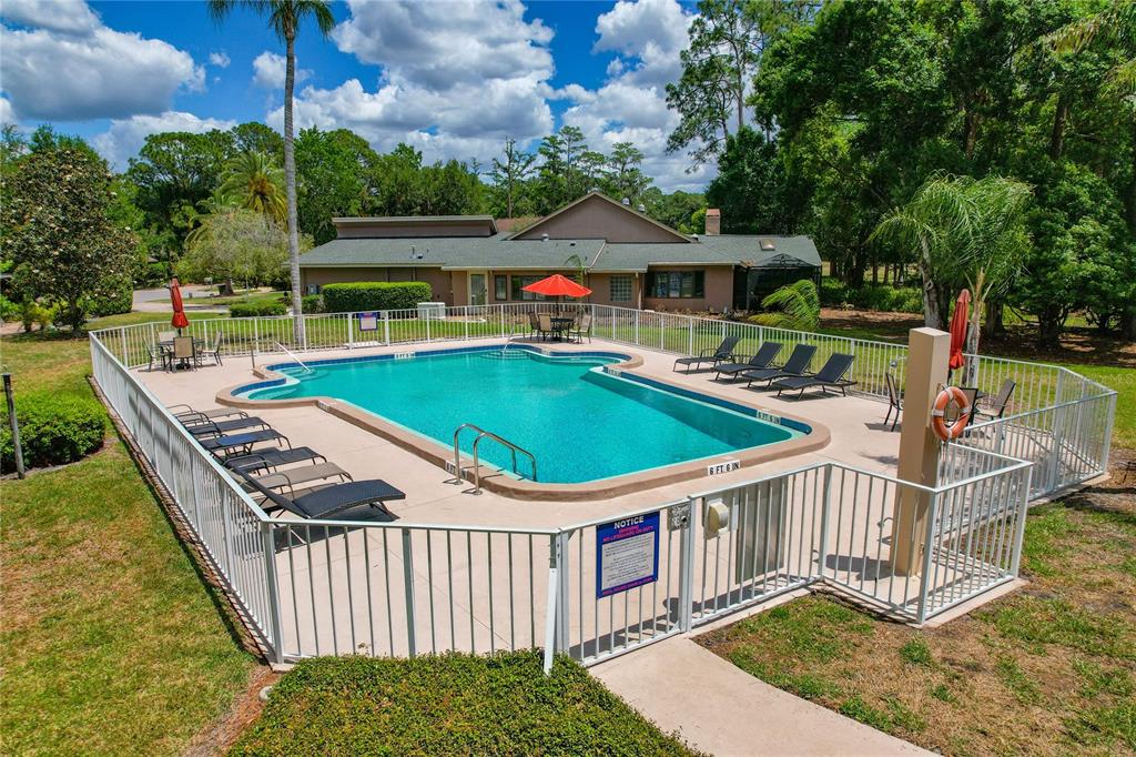 A fenced-in swimming pool with lounge chairs sits in front of a single-story house — 3071 BOLT DRIVE, PALM HARBOR, FL