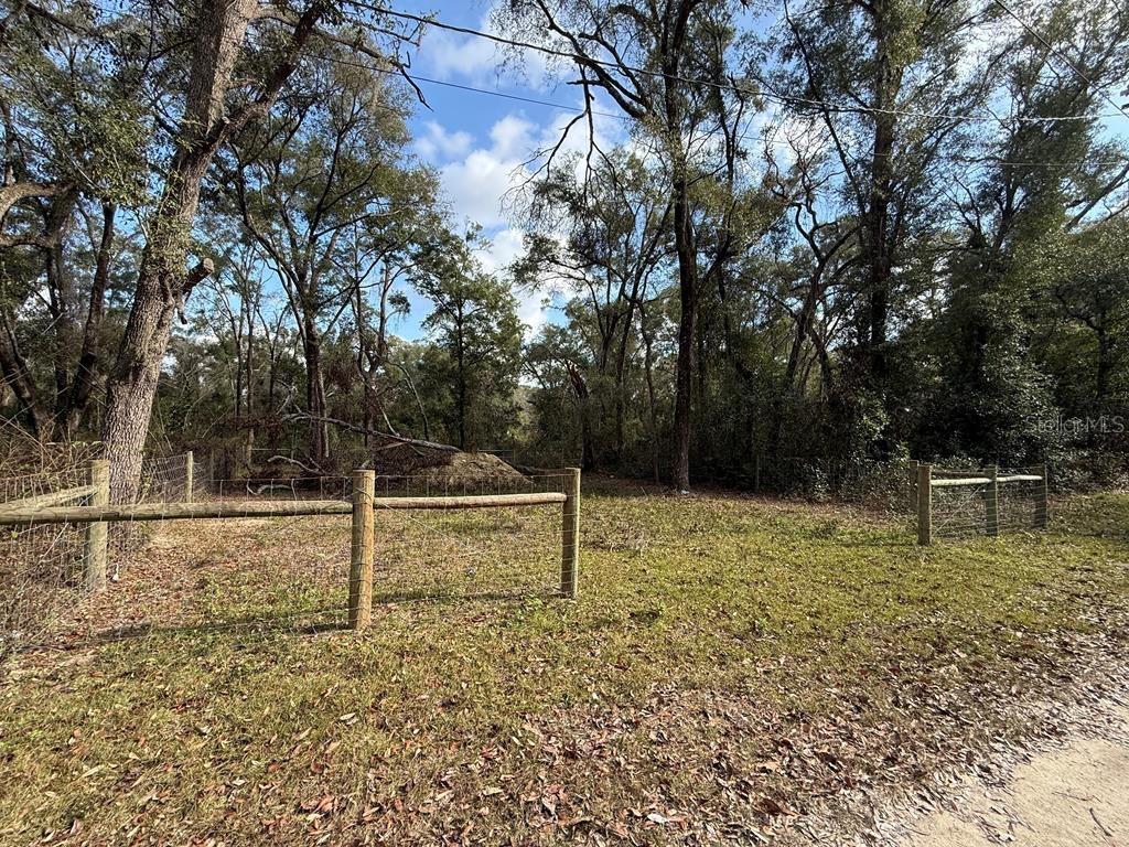 A fenced, grassy lot is bordered by a dense forest of tall trees — 255 SE 917 STREET, CROSS CITY, FL