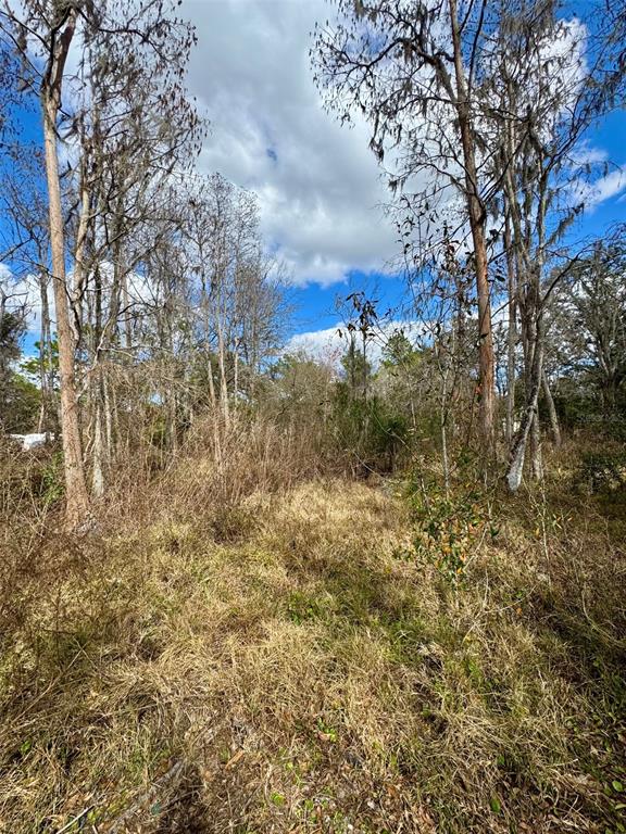 26931 DEACON LOOP, ZEPHYRHILLS, FL — photo 4 of 18