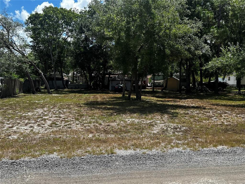 A vacant, grassy lot with scattered trees is viewed from a gravel road — SPARE DRIVE, NEW PORT RICHEY, FL