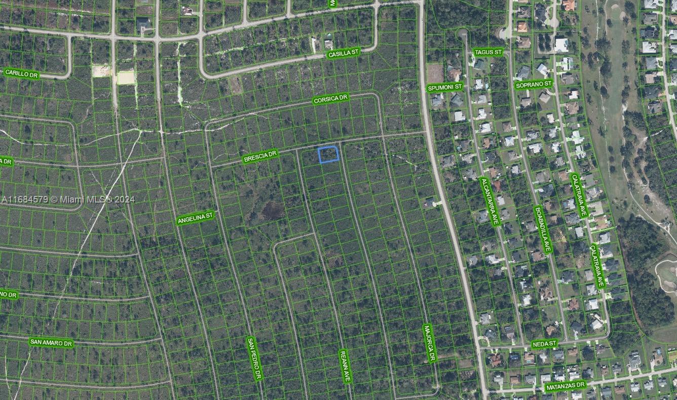 This is an aerial map showing a vacant residential lot highlighted in blue — 4739 Obispo Ave, Sebring FL 33872, SEBRING, FL