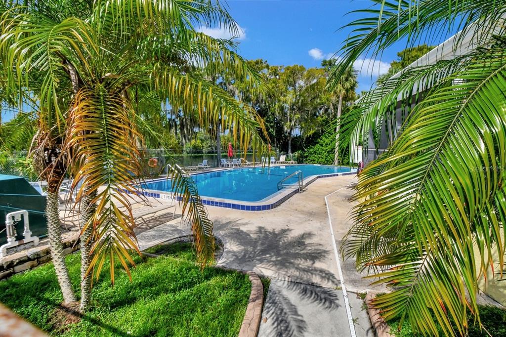 An outdoor swimming pool surrounded by a concrete deck, palm trees, and a grassy area — 2701 KINGFISHER VILLAGE, DELAND, FL