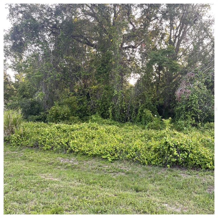 A grassy foreground leads to a dense area of overgrown shrubs and mature trees — 2701 KINGFISHER VILLAGE, DELAND, FL