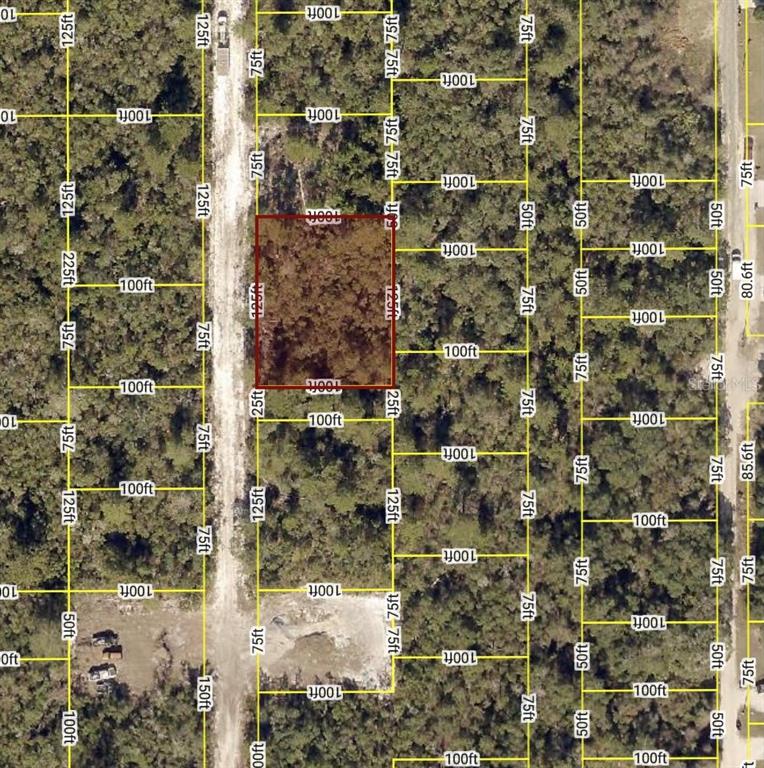 This is an aerial map showing a highlighted rectangular plot of land among wooded lots — WALDOR AVENUE, ORANGE CITY, FL
