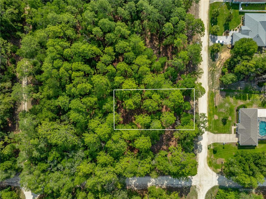 An aerial view shows a rectangular plot of land outlined in white amidst dense trees — SW 18TH PLACE, OCALA, FL