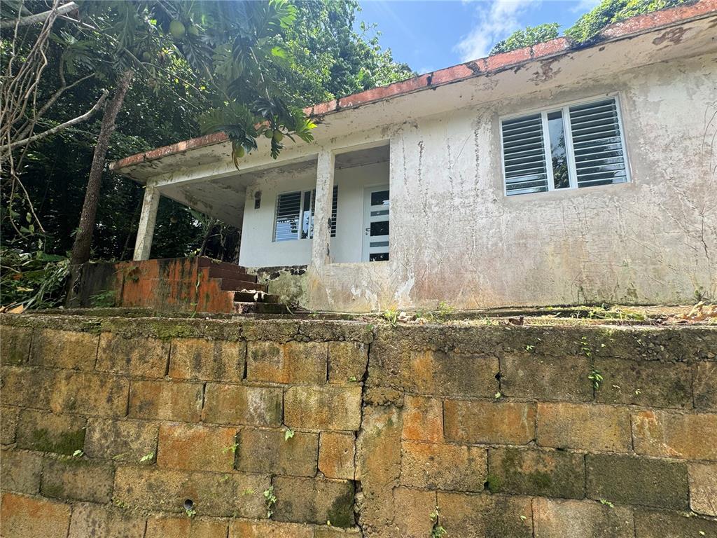 A single-story house with a concrete block retaining wall and a covered porch — Carr 123 KM 64.5 BO CANIACO, UTUADO, PR