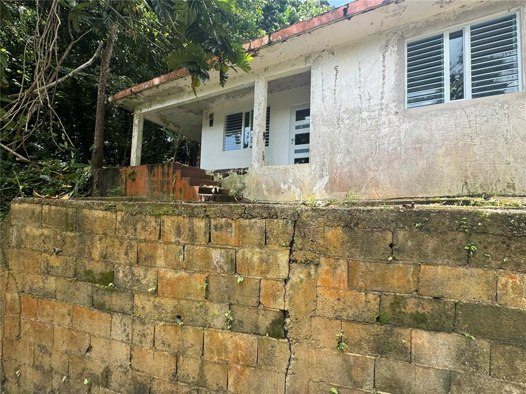 A weathered house with a concrete block retaining wall and a small front porch — Carr 123 KM 64.5 BO CANIACO, UTUADO, PR