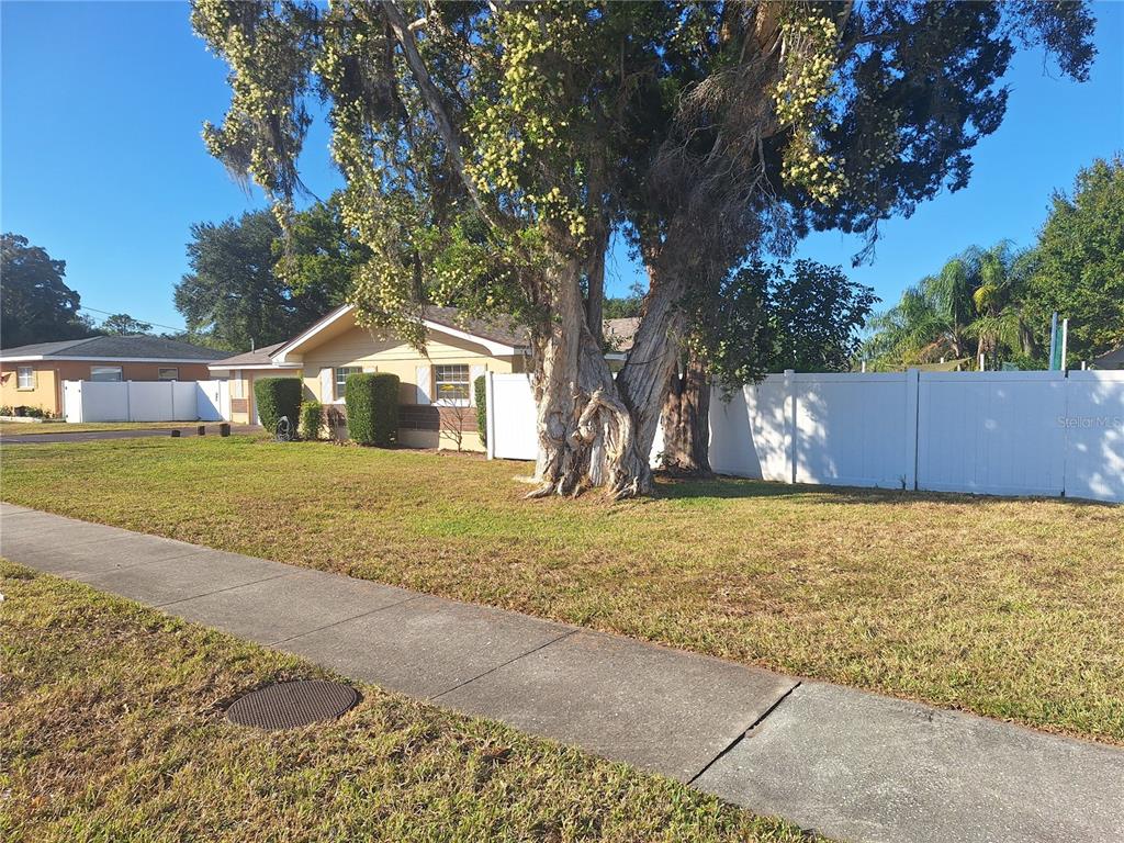 A single-story house with a large tree in the front yard and white fencing — 1202 S KEENE ROAD, CLEARWATER, FL