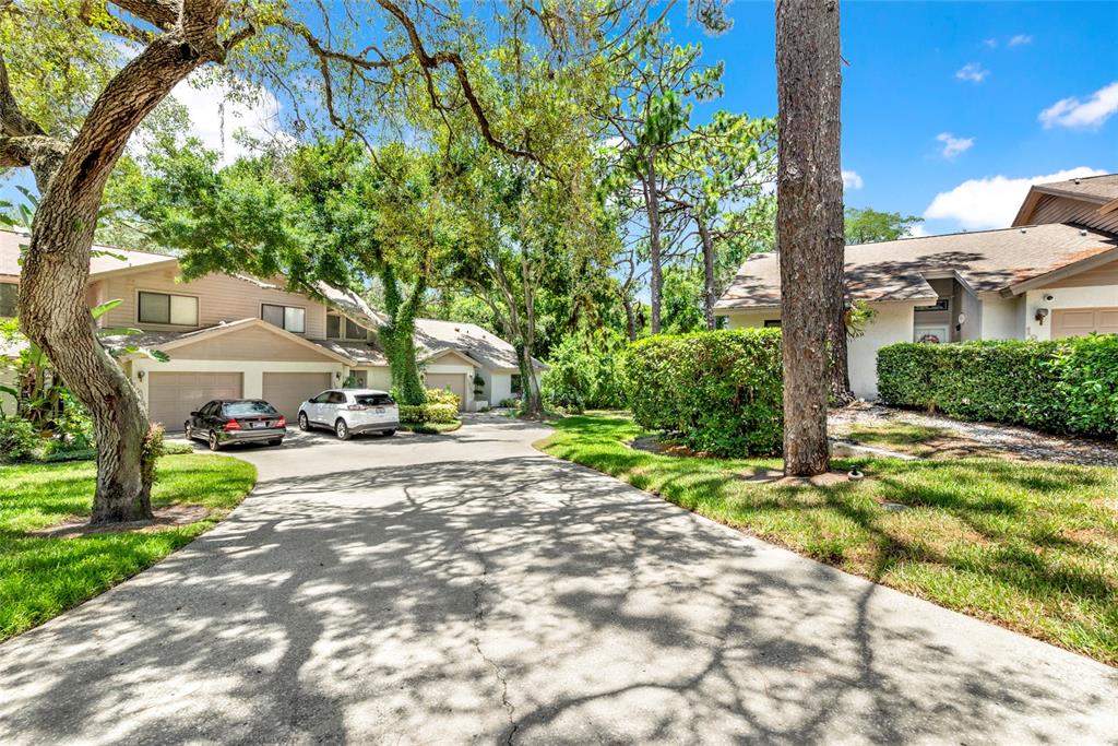 A concrete driveway leads to a multi-unit residential building with garages and surrounding trees — 1900 WHISPERING WAY, TARPON SPRINGS, FL