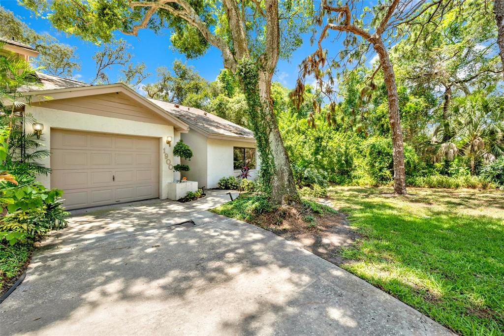 A single-story house with a beige garage and a large tree in the front yard — 1900 WHISPERING WAY, TARPON SPRINGS, FL