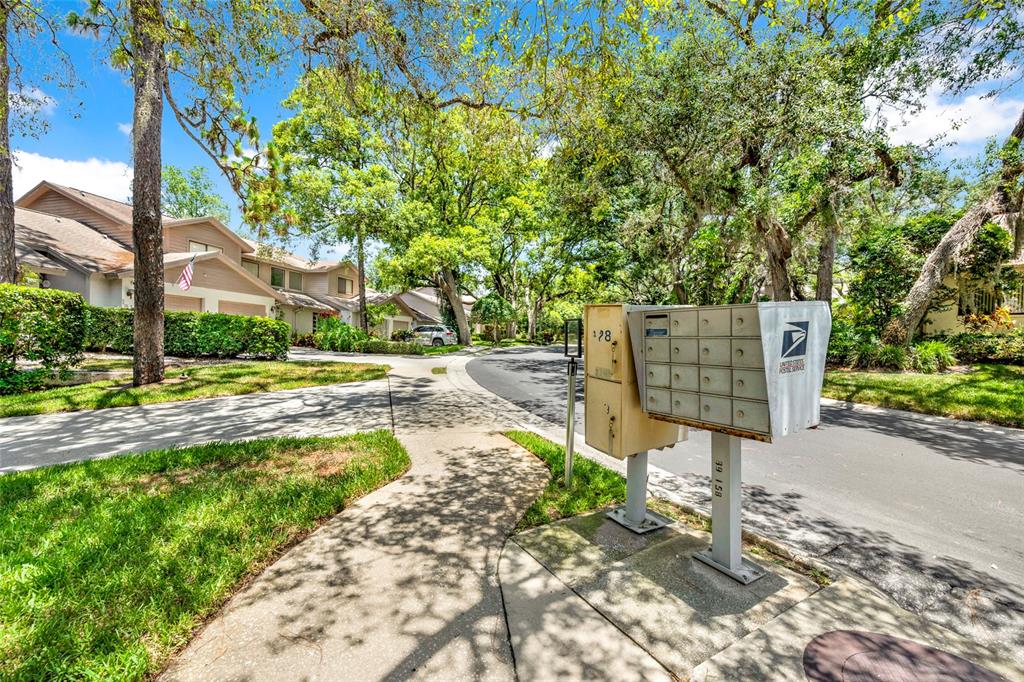 A sidewalk leads past a cluster of metal mailboxes toward residential townhomes under large trees — 1900 WHISPERING WAY, TARPON SPRINGS, FL