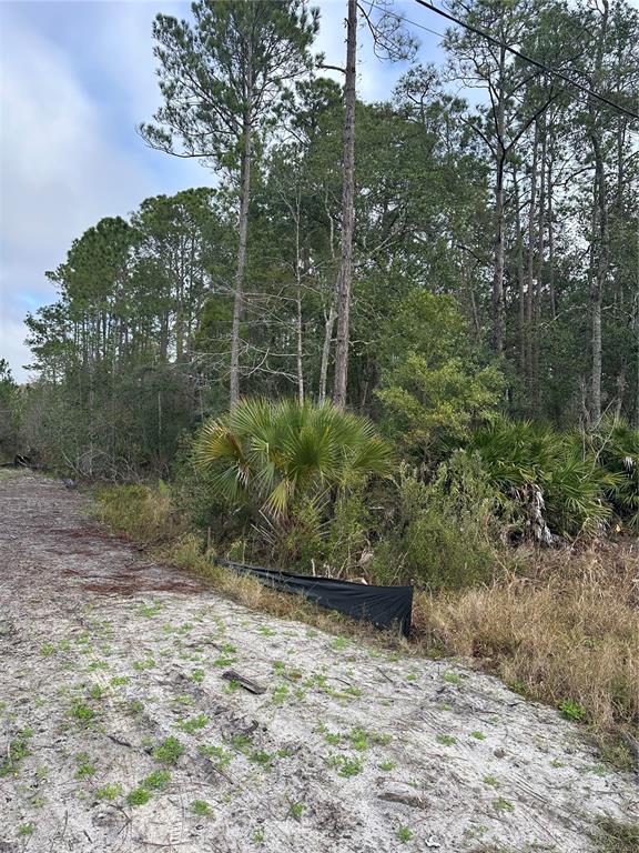 A sandy, undeveloped lot features a black silt fence bordering a dense wooded area — 2301 10TH AVENUE, DELAND, FL