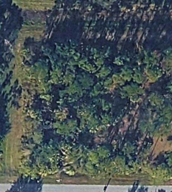 An aerial view shows a densely wooded, undeveloped plot of land next to a road — GARLENDA AVENUE, NORTH PORT, FL
