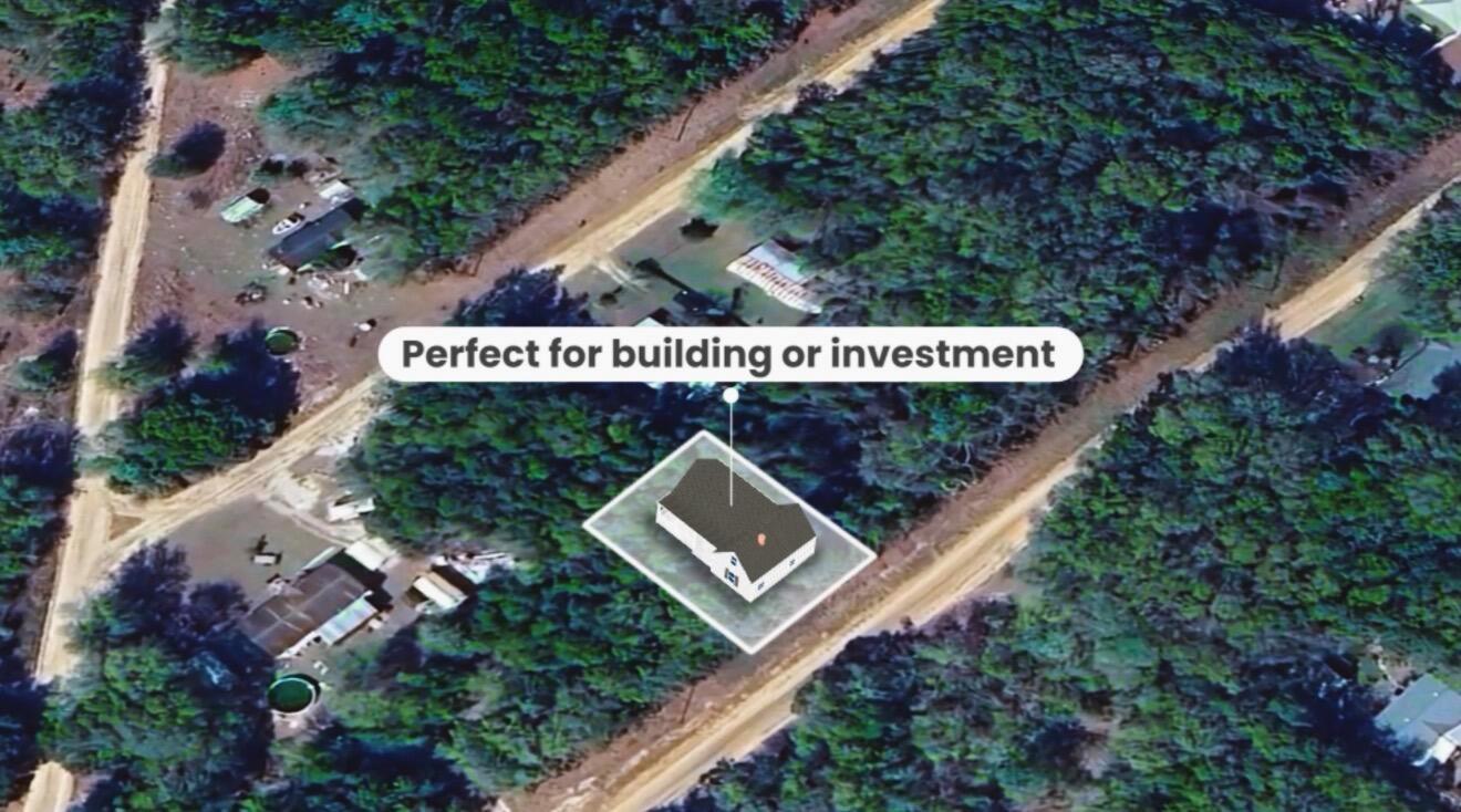 An aerial view shows a rectangular house on a wooded lot near a dirt road — 000 Wilson Dr Drive, FL 32148, FL