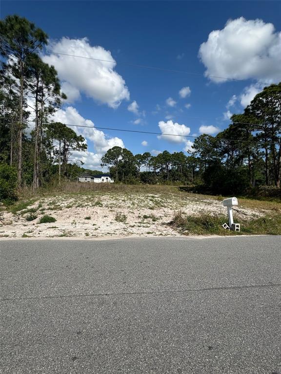 A vacant, sandy residential lot sits along a paved road under a blue sky — 2024 WALSH AVENUE SE, PALM BAY, FL