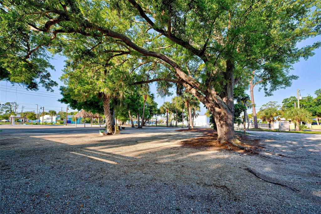 A large, gravel-covered lot features several mature trees providing shade under a clear blue sky — 348 W DEARBORN STREET, ENGLEWOOD, FL