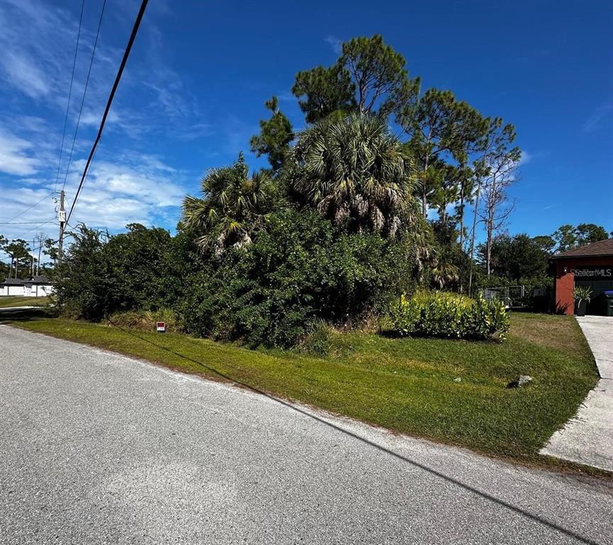 A vacant, grassy lot with dense trees and shrubs sits beside a paved road — BADALI ROAD, NORTH PORT, FL