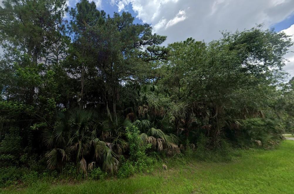 A dense cluster of trees and palmettos grows along the edge of a grassy lot — BADALI ROAD, NORTH PORT, FL